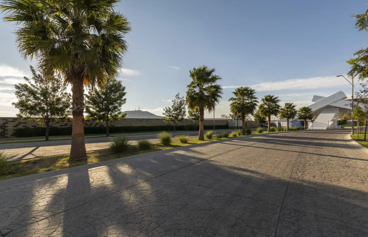 Conoce la experiencia Mallorca Residence