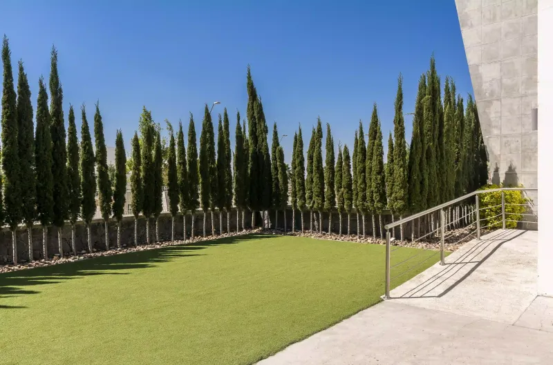 Áreas verdes integradas al paisaje